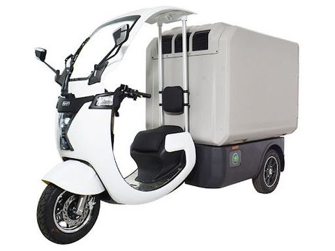 Explore Electric Cargo Transport: An Overview, Basics, and Key Information